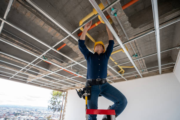 Best Local Plumber Services  in Natalbany, LA