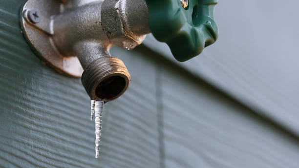 Best Plumbing Inspection Services  in Natalbany, LA